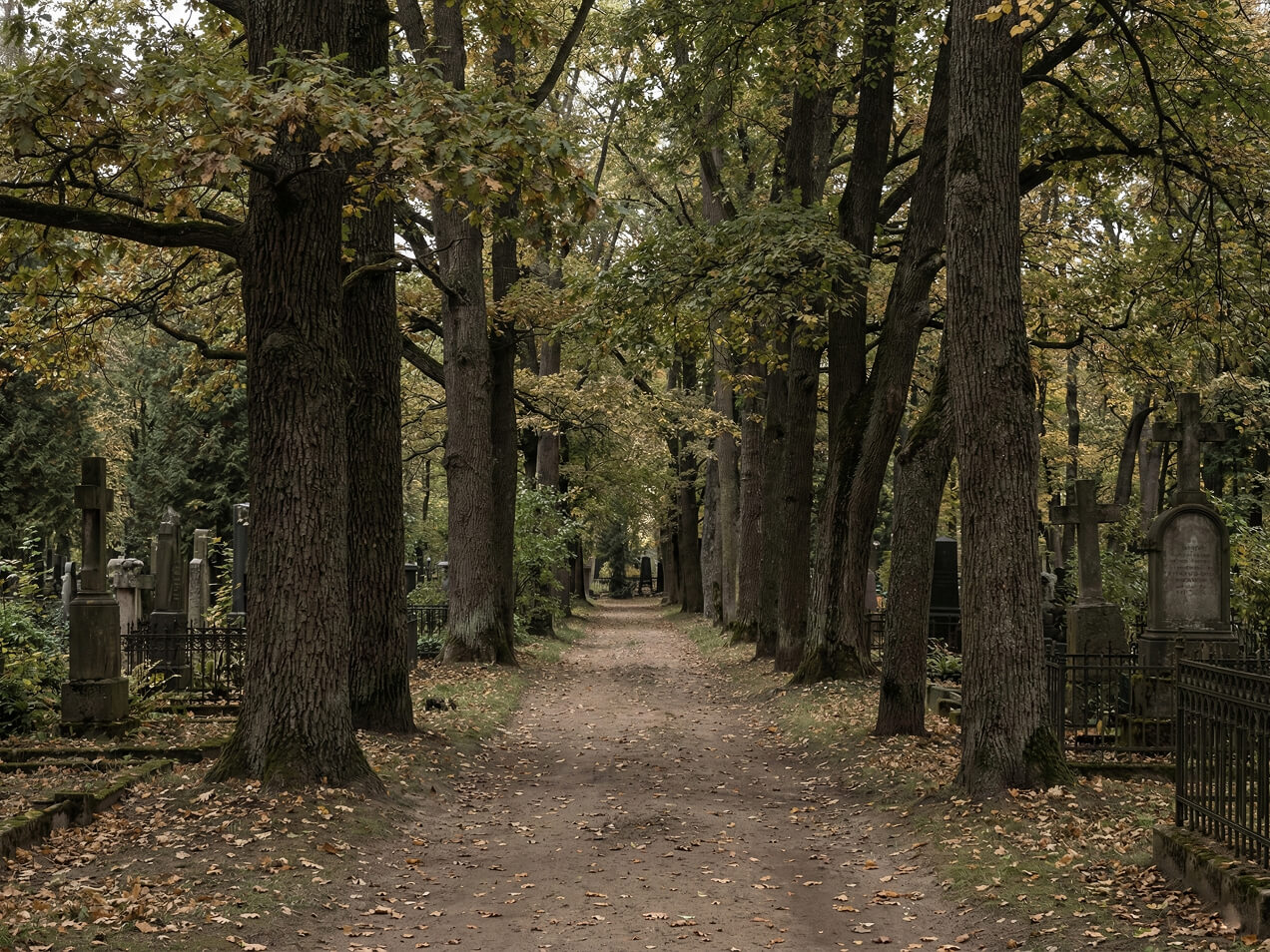 Apbedījuma vietas izvēle Rīgas kapsētā